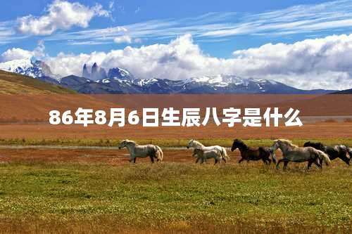86年8月6日生辰八字是什么