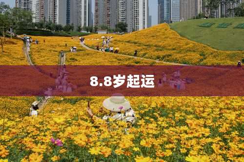 8.8岁起运