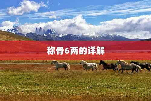 称骨6两的详解