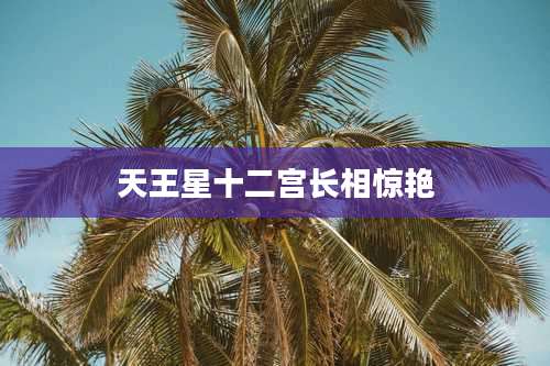 天王星十二宫长相惊艳