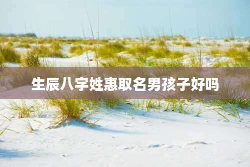 生辰八字姓惠取名男孩子好吗