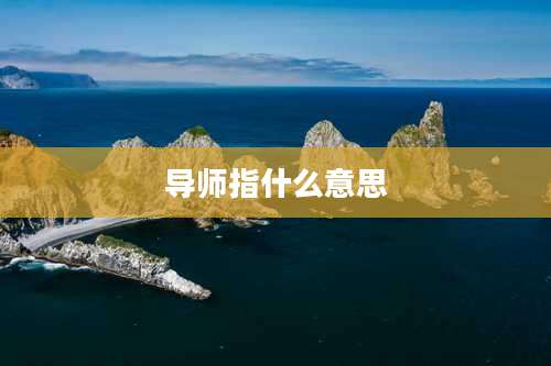导师指什么意思
