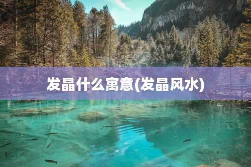 发晶什么寓意(发晶风水)