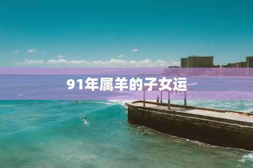 91年属羊的子女运