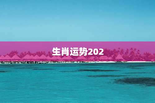 生肖运势202