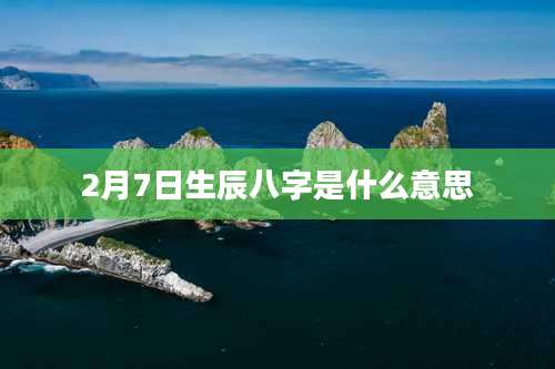 2月7日生辰八字是什么意思