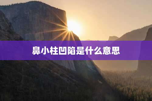 鼻小柱凹陷是什么意思