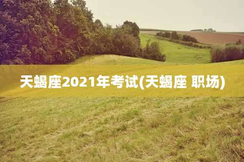 天蝎座2021年考试(天蝎座 职场)
