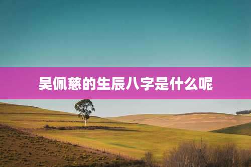 吴佩慈的生辰八字是什么呢