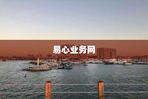 易心业务网