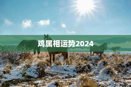 鸡属相运势2024