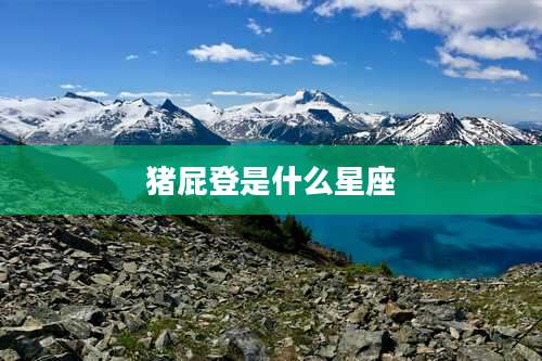 猪屁登是什么星座