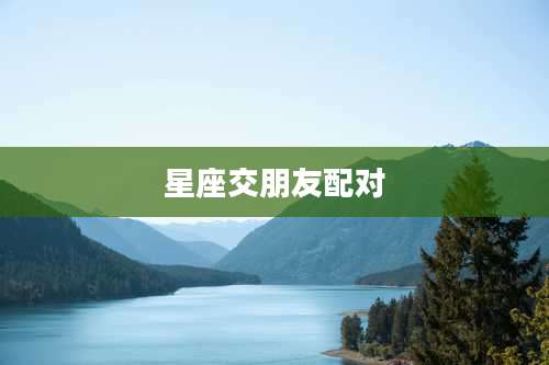星座交朋友配对
