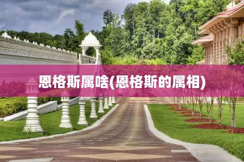 恩格斯属啥(恩格斯的属相)