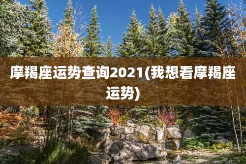 摩羯座运势查询2021(我想看摩羯座运势)