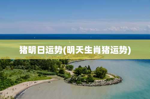 猪明日运势(明天生肖猪运势)