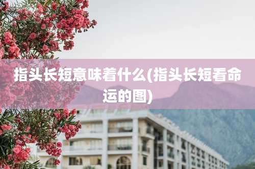 指头长短意味着什么(指头长短看命运的图)