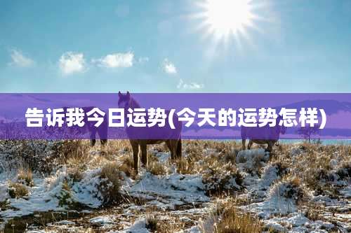 告诉我今日运势(今天的运势怎样)
