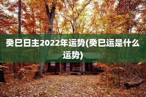 癸巳日主2022年运势(癸巳运是什么运势)