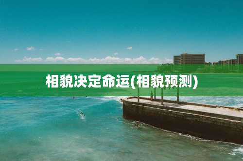 相貌决定命运(相貌预测)