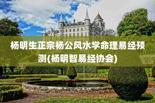 杨明生正宗杨公风水学命理易经预测(杨明智易经协会)