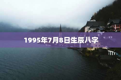 1995年7月8日生辰八字