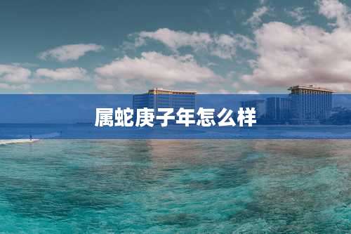 属蛇庚子年怎么样