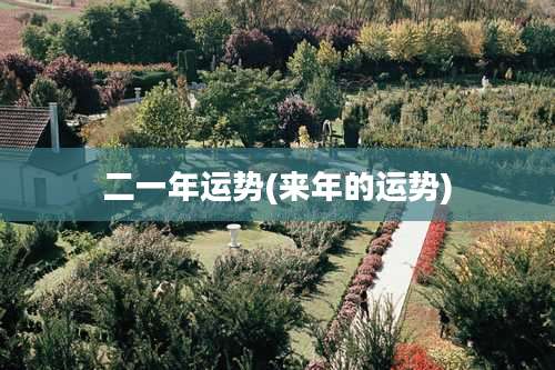 二一年运势(来年的运势)