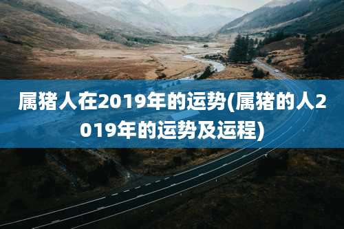 属猪人在2019年的运势(属猪的人2019年的运势及运程)