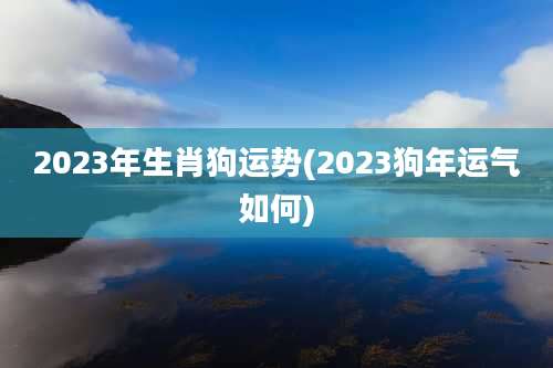 2023年生肖狗运势(2023狗年运气如何)
