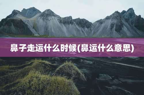 鼻子走运什么时候(鼻运什么意思)