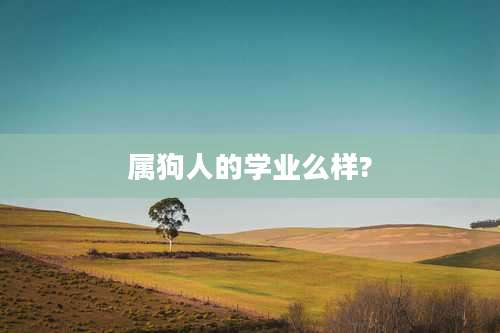 属狗人的学业么样?