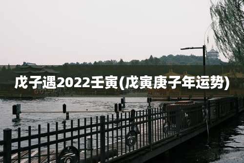 戊子遇2022壬寅(戊寅庚子年运势)