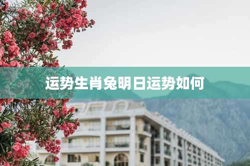 运势生肖兔明日运势如何