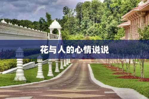 花与人的心情说说