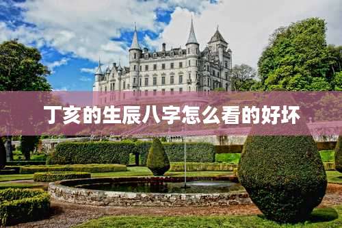 丁亥的生辰八字怎么看的好坏