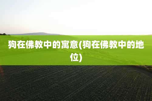 狗在佛教中的寓意(狗在佛教中的地位)