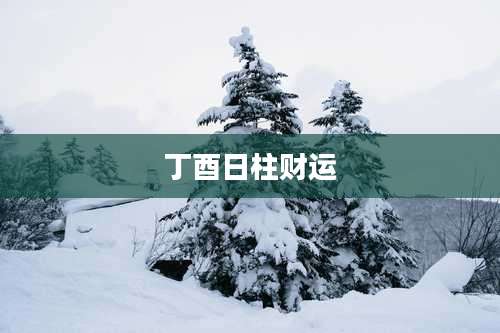 丁酉日柱财运