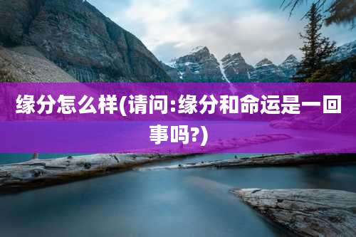 缘分怎么样(请问:缘分和命运是一回事吗?)