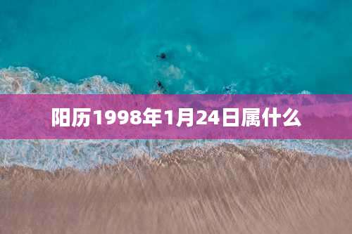 阳历1998年1月24日属什么