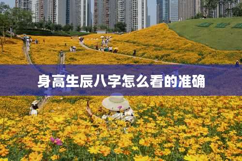 身高生辰八字怎么看的准确