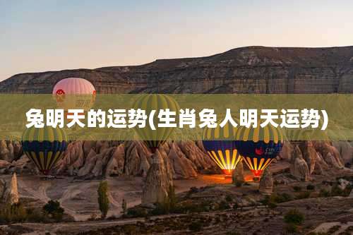 兔明天的运势(生肖兔人明天运势)