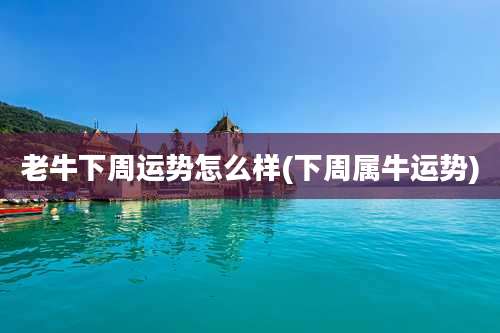 老牛下周运势怎么样(下周属牛运势)