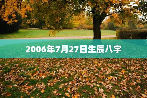 2006年7月27日生辰八字