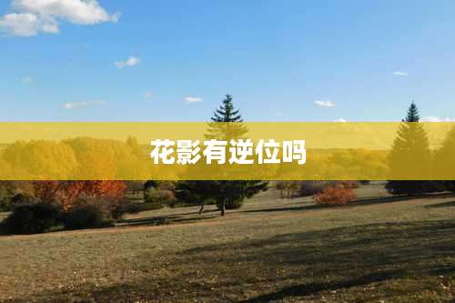 花影有逆位吗