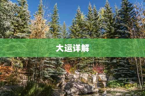 大运详解