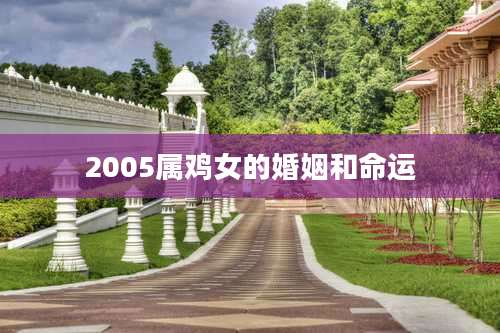 2005属鸡女的婚姻和命运