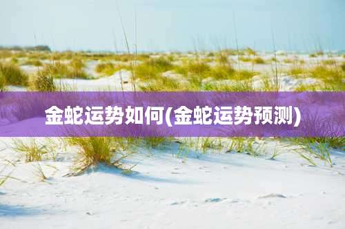 金蛇运势如何(金蛇运势预测)