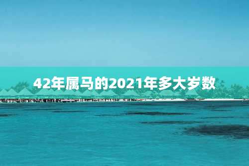 42年属马的2021年多大岁数