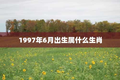 1997年6月出生属什么生肖